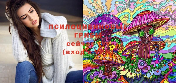 мдпв Абинск