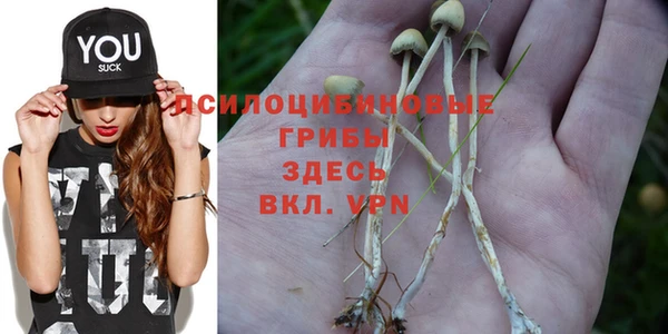 дмт Новодвинск