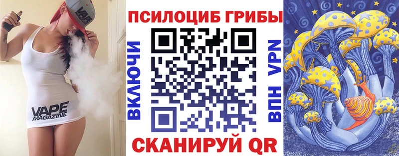 блэк спрут как войти  Чердынь  Псилоцибиновые грибы прущие грибы 